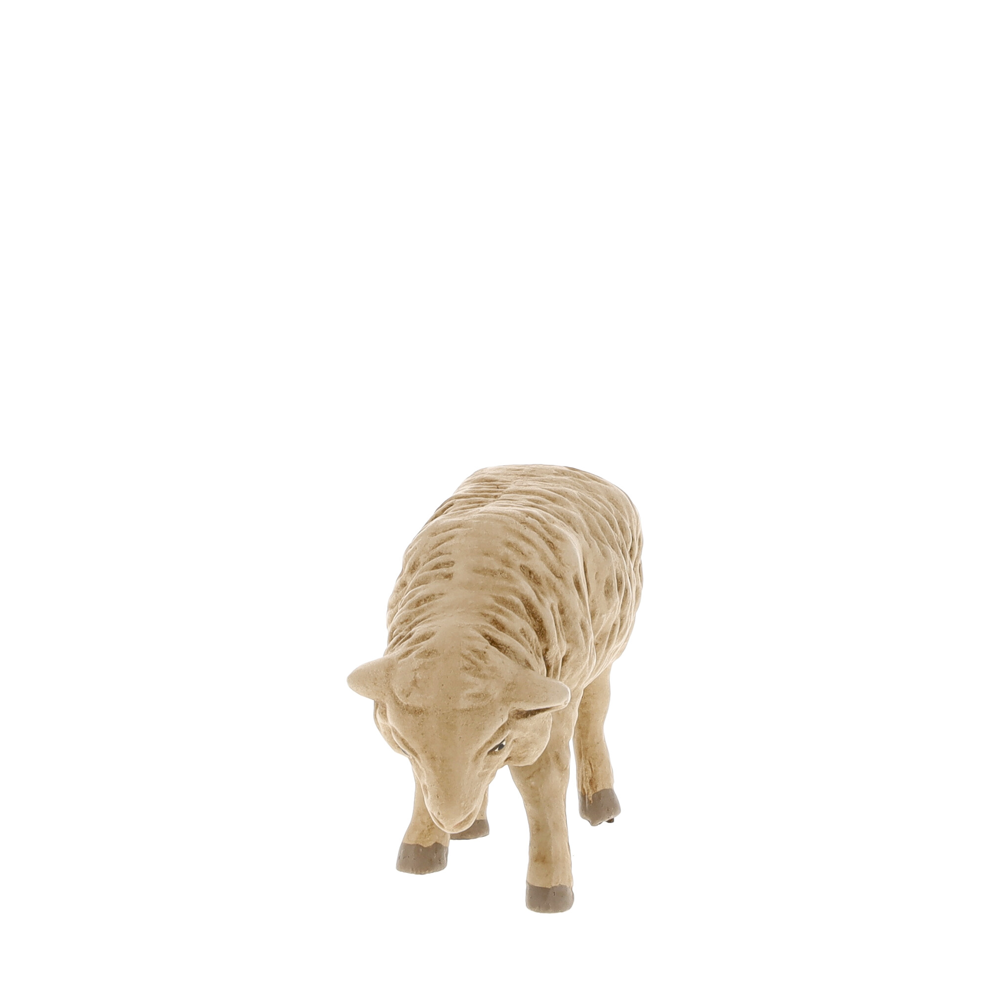 Schaf grasend, zu 11 - 12cm Figuren - MAROLIN Krippenfigur